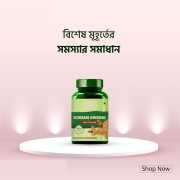 Korean Ginseng Powder -100gm (2)